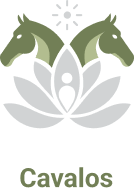Cavalos
