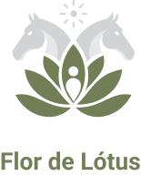 Flor de Lótus